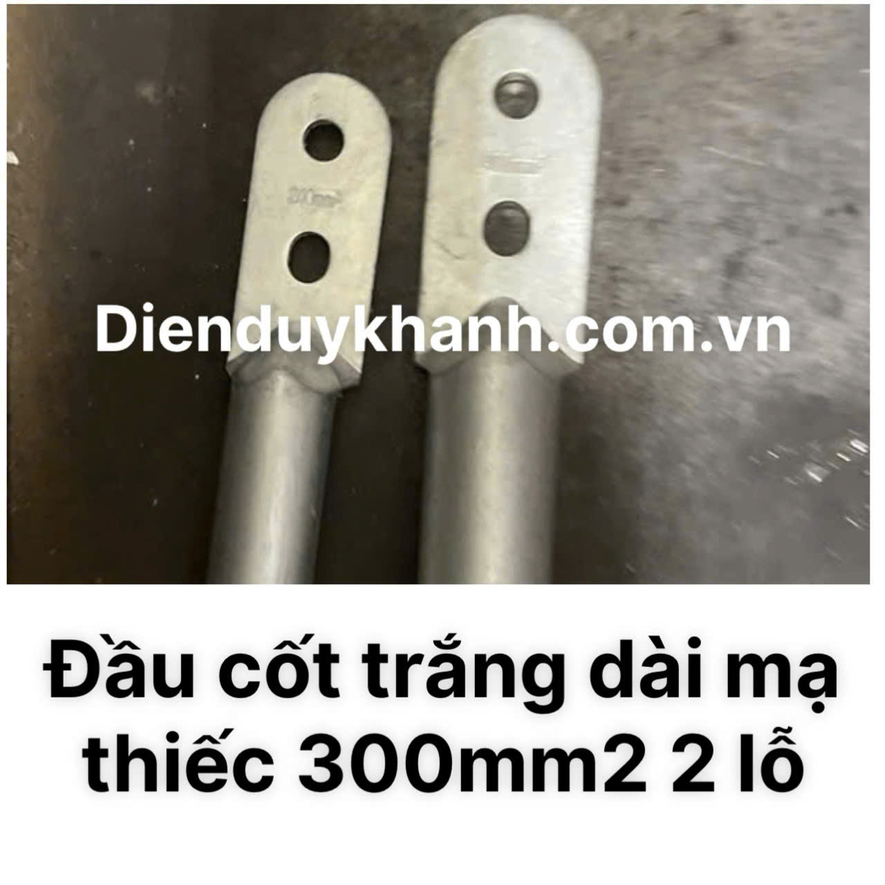 Đầu Cốt Đồng Mạ Thiếc 300mm2 2 Lỗ